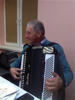 Pokaż zdjęcie w powiększeniu Gołębie zdjęcie